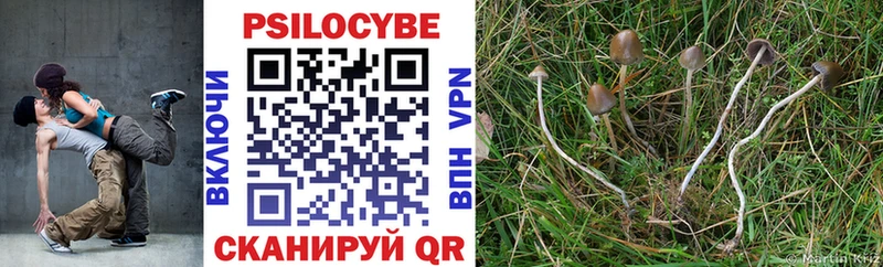 Купить где  Кириши  Галлюциногенные грибы MAGIC MUSHROOMS 