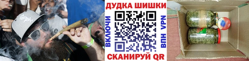 Купить где  Кириши  МАРИХУАНА THC 21% 